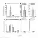 Fig. 12 - Antagonists of CB1 receptor