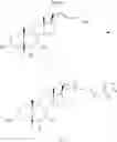 Fig. 22 - Tetrazole derivatives of bile acids as FXR/TGR5 agonists and methods of use thereof