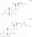 Fig. 145 - Bile acid analogs as FXR/TGR5 agonists and methods of use thereof