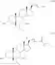 Fig. 149 - Bile acid analogs as FXR/TGR5 agonists and methods of use thereof