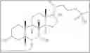Fig. 719 - Bile acid analogs as FXR/TGR5 agonists and methods of use thereof