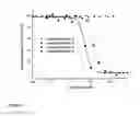 Fig. 11 - CYSTOBACTAMIDES