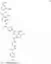 Fig. 24 - CYSTOBACTAMIDES