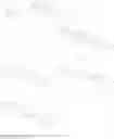 Fig. 91 - CYSTOBACTAMIDES