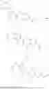 Fig. 92 - CYSTOBACTAMIDES
