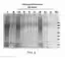 Fig. 05 - Compositions comprising fibrous polypeptides and polysaccharides