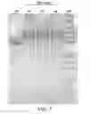 Fig. 08 - Compositions comprising fibrous polypeptides and polysaccharides