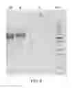 Fig. 10 - Compositions comprising fibrous polypeptides and polysaccharides