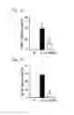 Fig. 05 - CETP antigenic peptide and fusion protein and their composition and applications