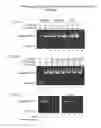 Fig. 07 - Compositions comprising serum albumin and p53 peptides fusion proteins