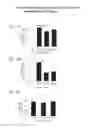 Fig. 15 - Compositions comprising serum albumin and p53 peptides fusion proteins
