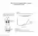 Fig. 16 - Compositions comprising serum albumin and p53 peptides fusion proteins