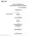 Fig. 02 - Preparation and composition of inter-alpha inhibitor proteins from blood