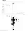 Fig. 10 - Preparation and composition of inter-alpha inhibitor proteins from blood
