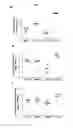 Fig. 09 - Human antibodies binding to RSV G protein