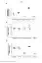 Fig. 10 - Human antibodies binding to RSV G protein