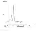 Fig. 13 - Composition for Intraocular Implantation of Bevacizumab