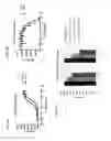 Fig. 09 - Cannabinoid receptor-1 (CB1) monoclonal antibodies