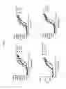 Fig. 11 - Cannabinoid receptor-1 (CB1) monoclonal antibodies