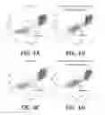 Fig. 06 - Effector-deficient anti-CD32A antibodies