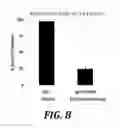Fig. 10 - Effector-deficient anti-CD32A antibodies