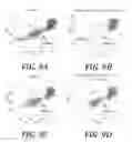 Fig. 11 - Effector-deficient anti-CD32A antibodies