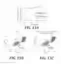 Fig. 14 - Effector-deficient anti-CD32A antibodies