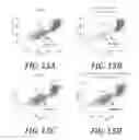 Fig. 17 - Effector-deficient anti-CD32A antibodies