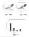 Fig. 18 - Effector-deficient anti-CD32A antibodies