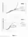Fig. 02 - CD19 specific chimeric antigen receptor and uses thereof