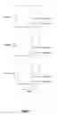 Fig. 06 - CD19 specific chimeric antigen receptor and uses thereof