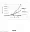 Fig. 07 - CD19 specific chimeric antigen receptor and uses thereof