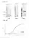 Fig. 02 - Human monoclonal antibodies specific for CD22
