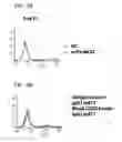 Fig. 06 - Human monoclonal antibodies specific for CD22