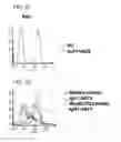 Fig. 07 - Human monoclonal antibodies specific for CD22