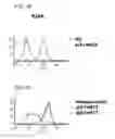 Fig. 08 - Human monoclonal antibodies specific for CD22