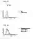 Fig. 09 - Human monoclonal antibodies specific for CD22