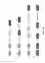 Fig. 03 - RNA-CODED ANTIBODY