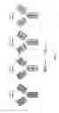 Fig. 04 - RNA-CODED ANTIBODY