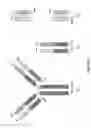 Fig. 06 - RNA-CODED ANTIBODY