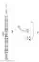 Fig. 07 - RNA-CODED ANTIBODY