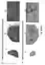 Fig. 66 - Antibodies against CD73