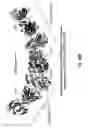 Fig. 76 - Antibodies against CD73