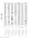 Fig. 04 - Human antigen binding proteins that bind β-klotho, FGF receptors and complexes thereof