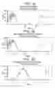 Fig. 07 - Human antigen binding proteins that bind β-klotho, FGF receptors and complexes thereof