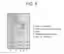 Fig. 11 - Human antigen binding proteins that bind β-klotho, FGF receptors and complexes thereof