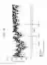 Fig. 32 - Human antigen binding proteins that bind β-klotho, FGF receptors and complexes thereof
