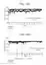 Fig. 33 - Human antigen binding proteins that bind β-klotho, FGF receptors and complexes thereof