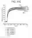 Fig. 51 - Human antigen binding proteins that bind β-klotho, FGF receptors and complexes thereof
