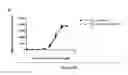 Fig. 83 - BISPECIFIC T CELL ACTIVATING ANTIGEN BINDING MOLECULES